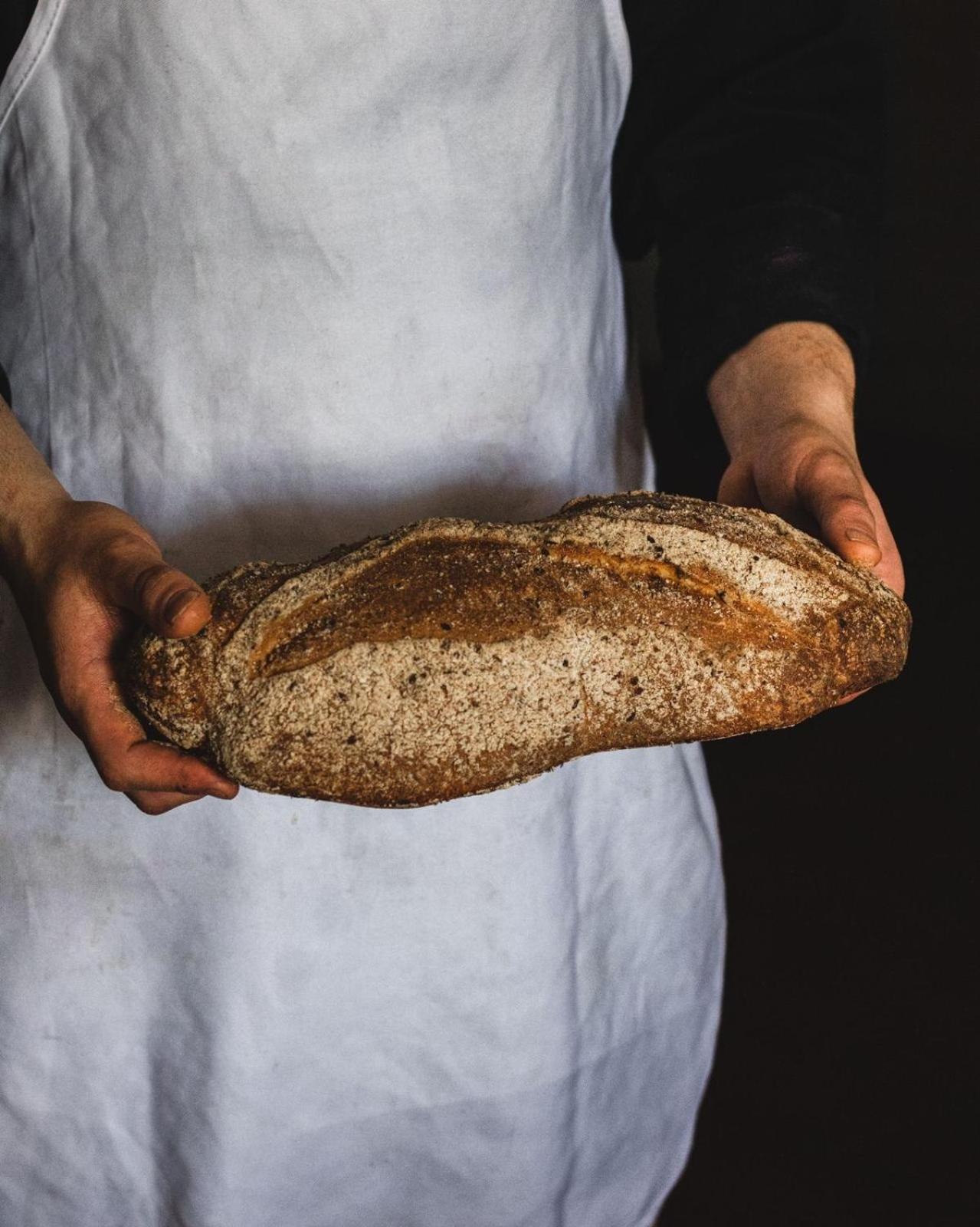 Вилла Agricola Casa Cucina Bottega Чезена Экстерьер фото